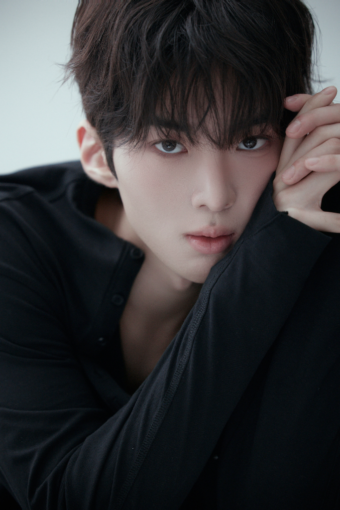 이미지 3