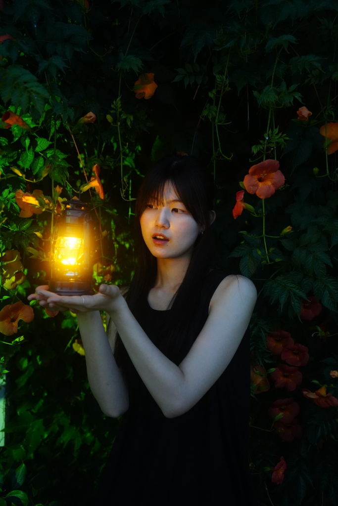 이미지 5