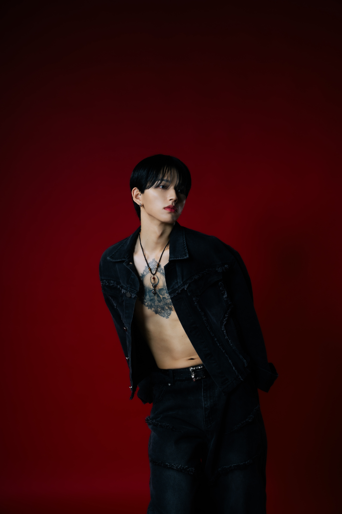 이미지 5