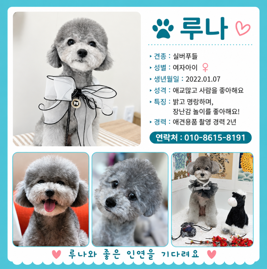 이미지 19