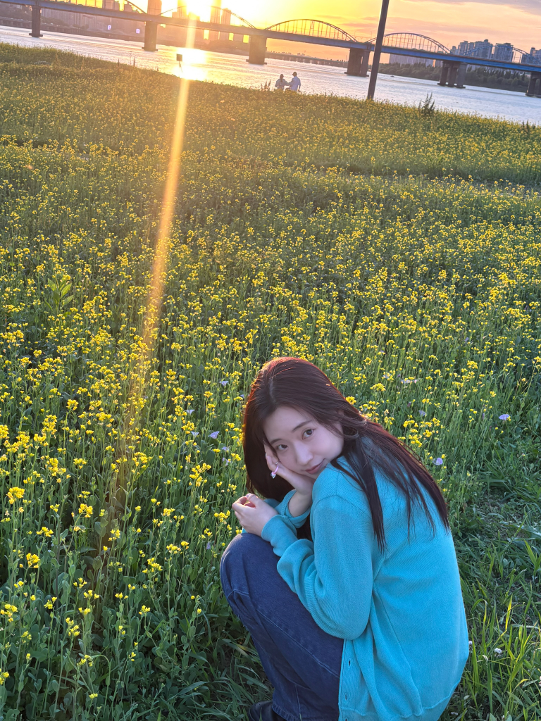 이미지 5
