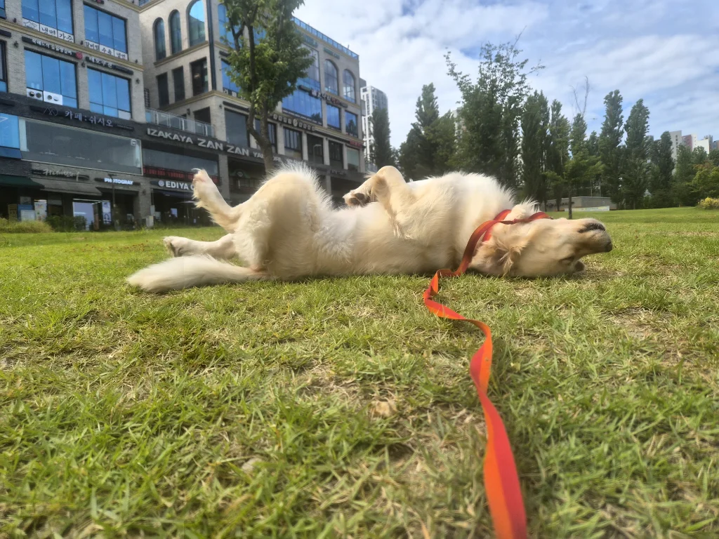 이미지 8