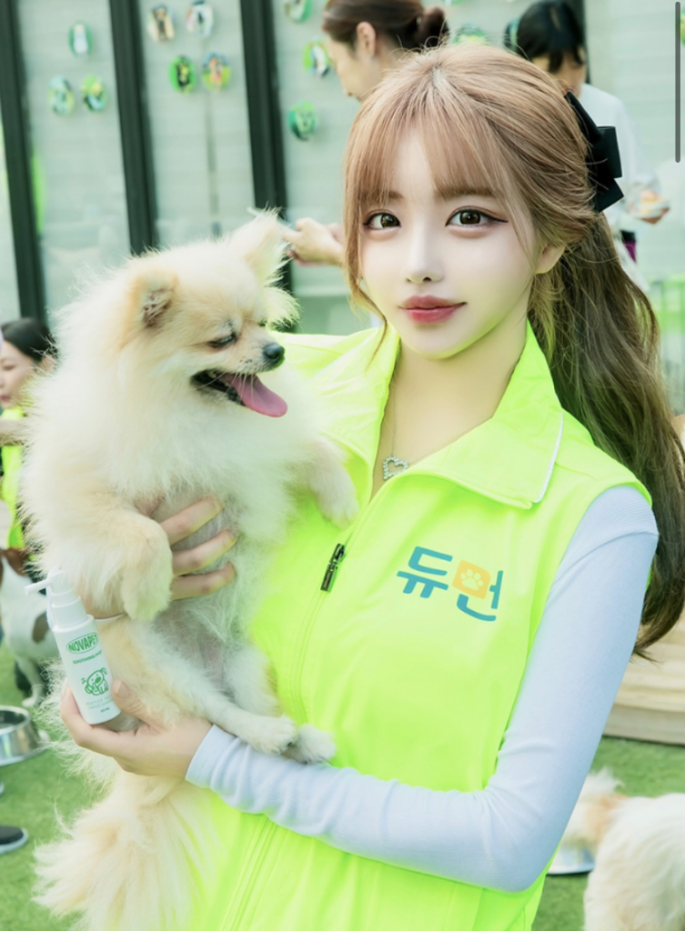 이미지 3
