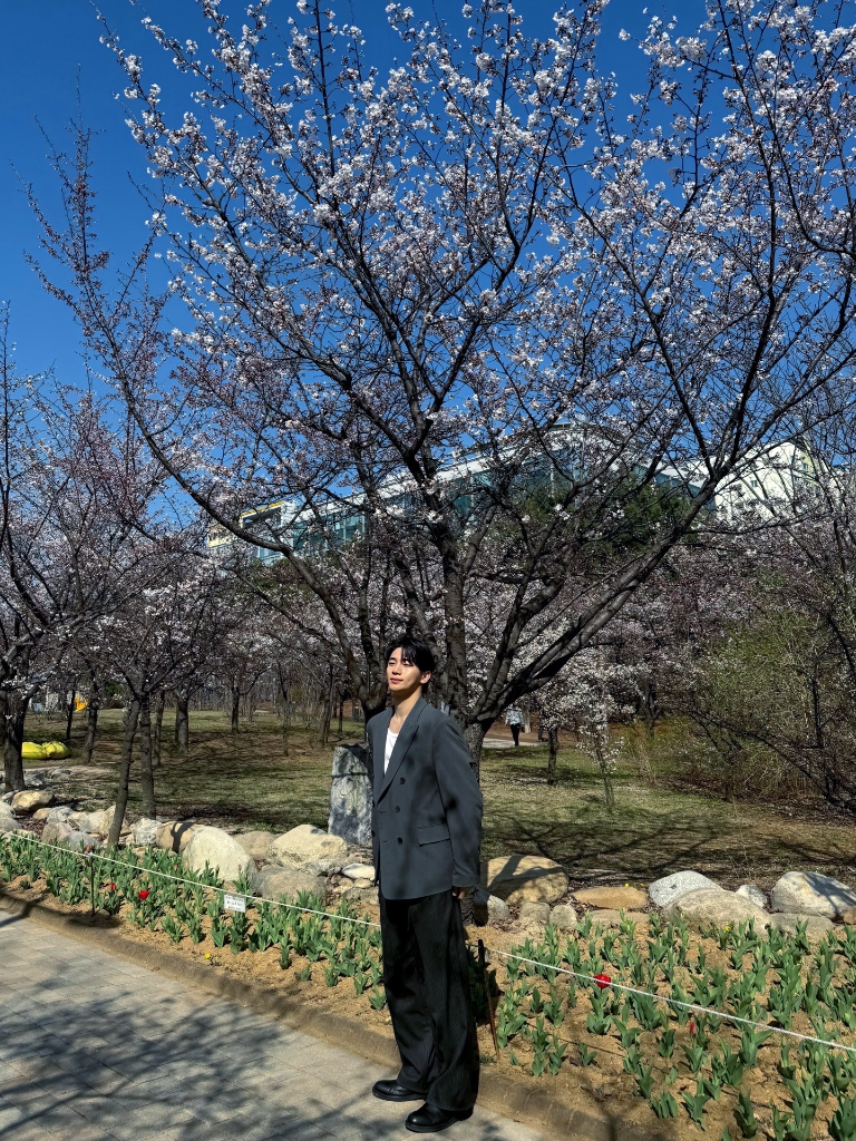 이미지 20