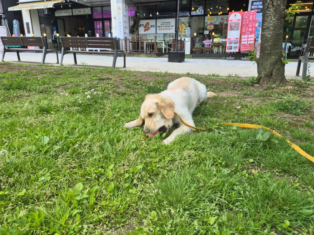 이미지 19