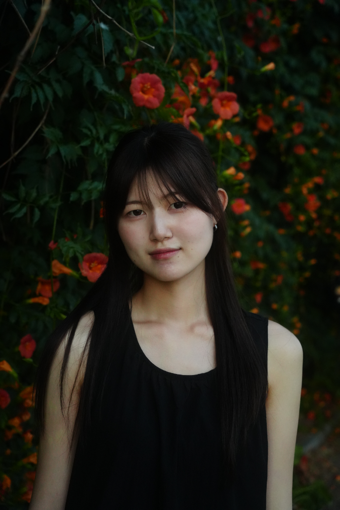 이미지 4