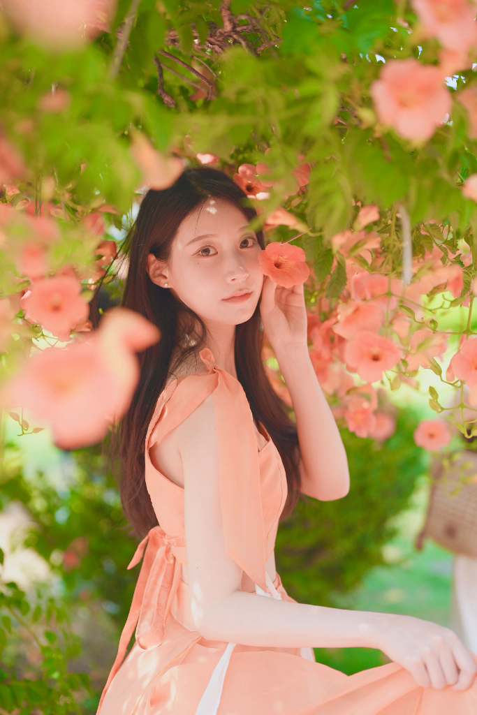 이미지 6