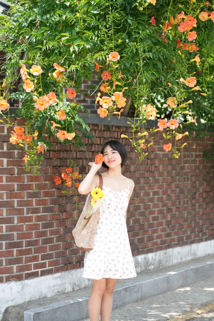 이미지 4