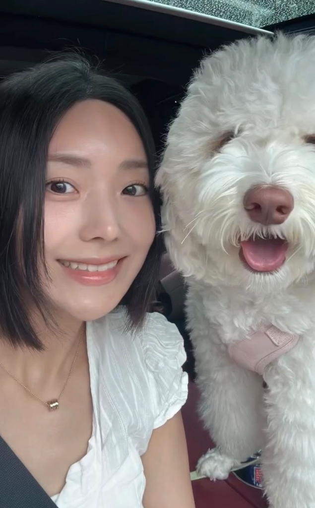 이미지 4