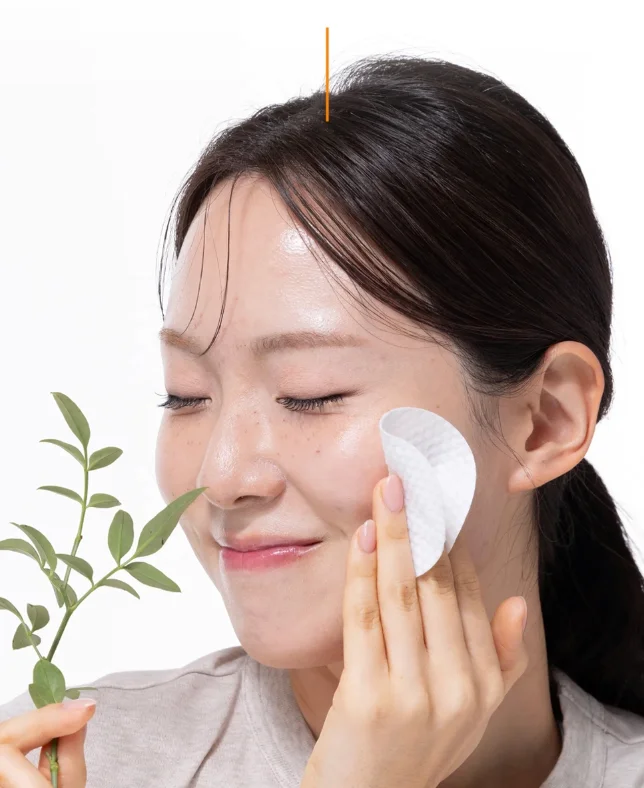이미지 5