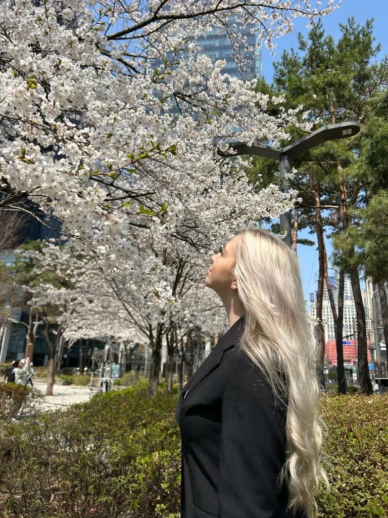 이미지 6