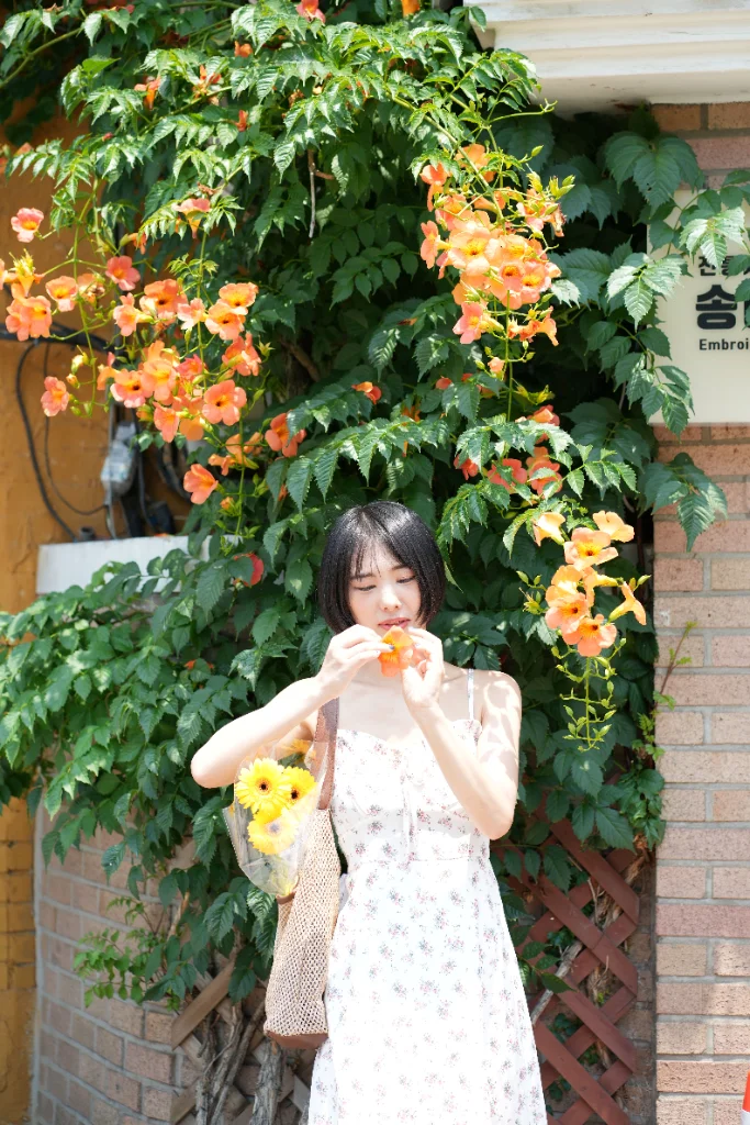 이미지 5