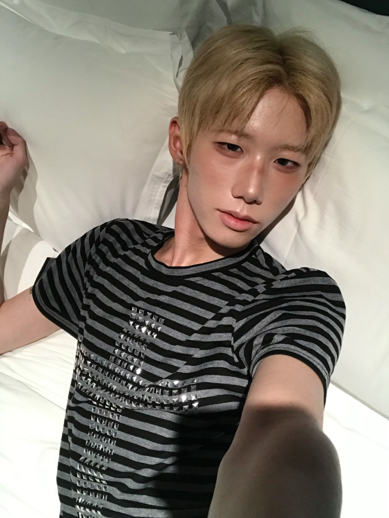 이미지 8