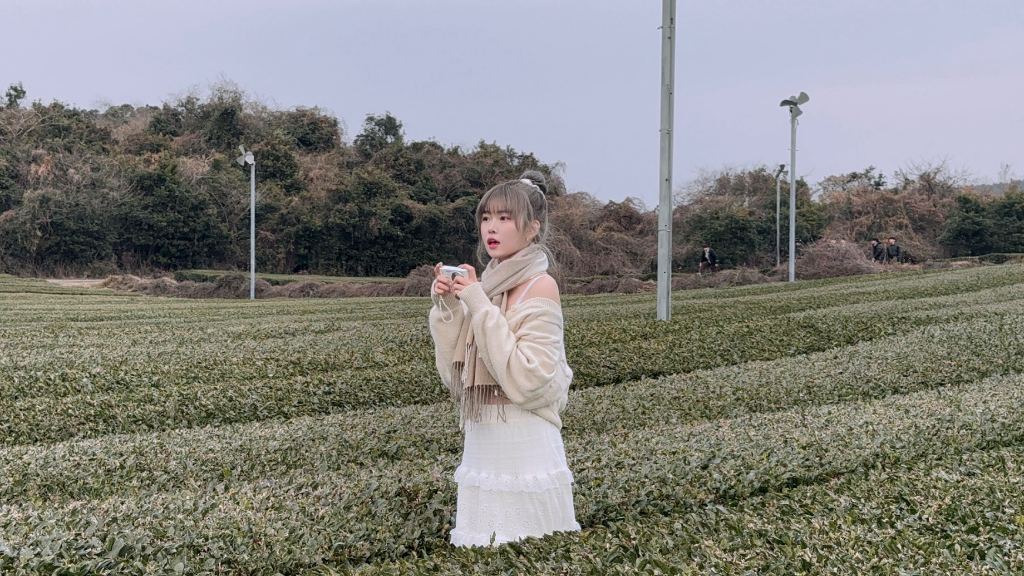 이미지 15