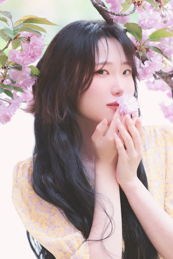 이미지 5