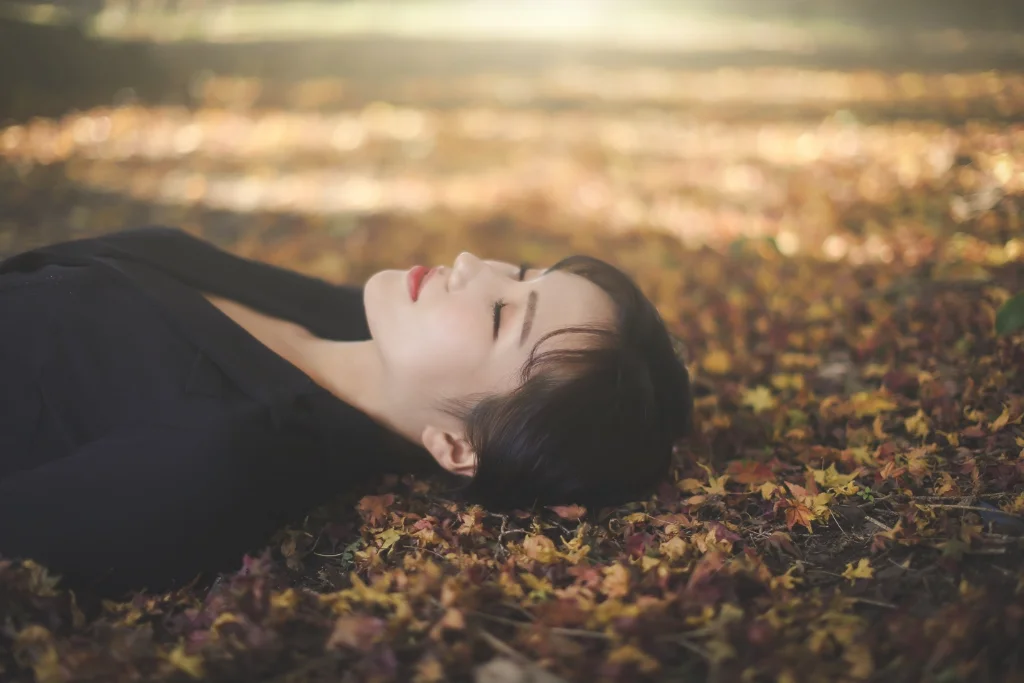 이미지 3