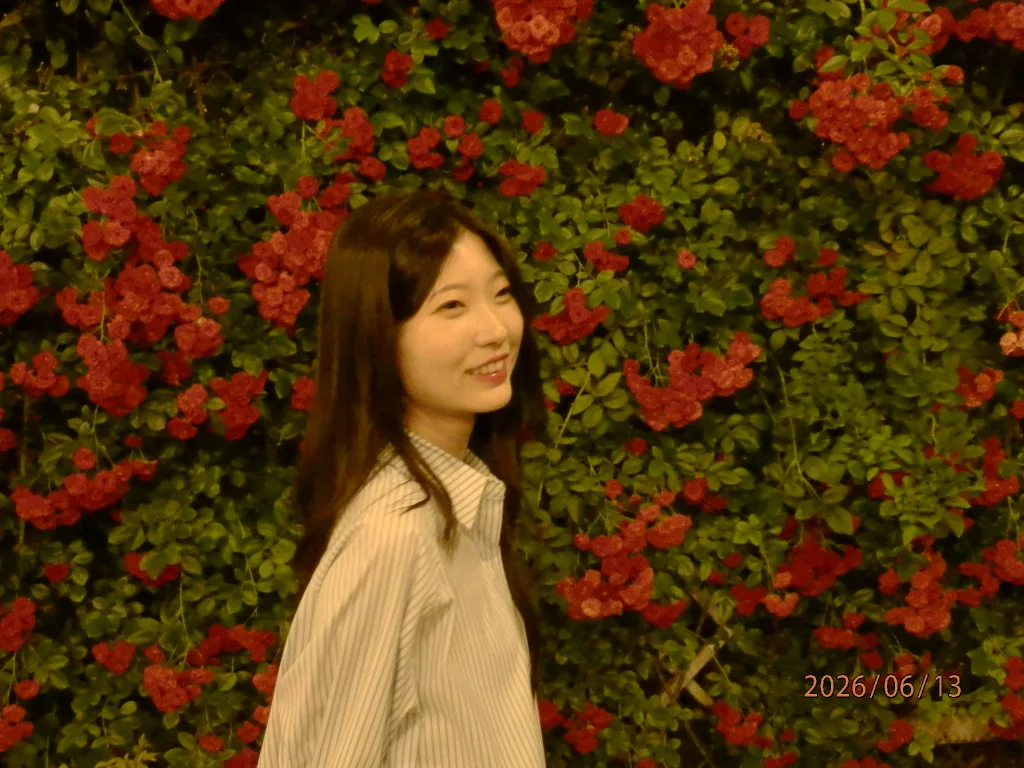 이미지 7