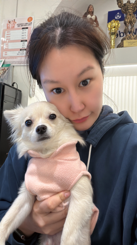 이미지 4