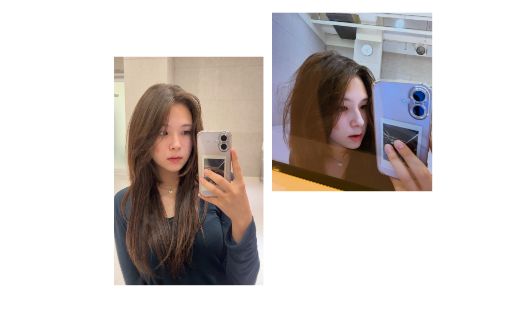 이미지 5