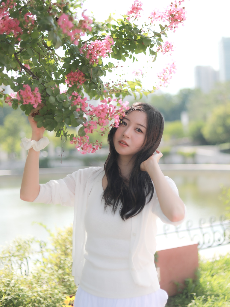 이미지 15