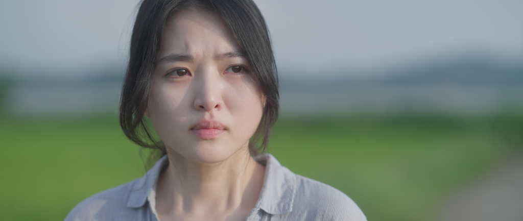 이미지 7