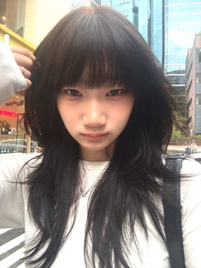 이미지 12