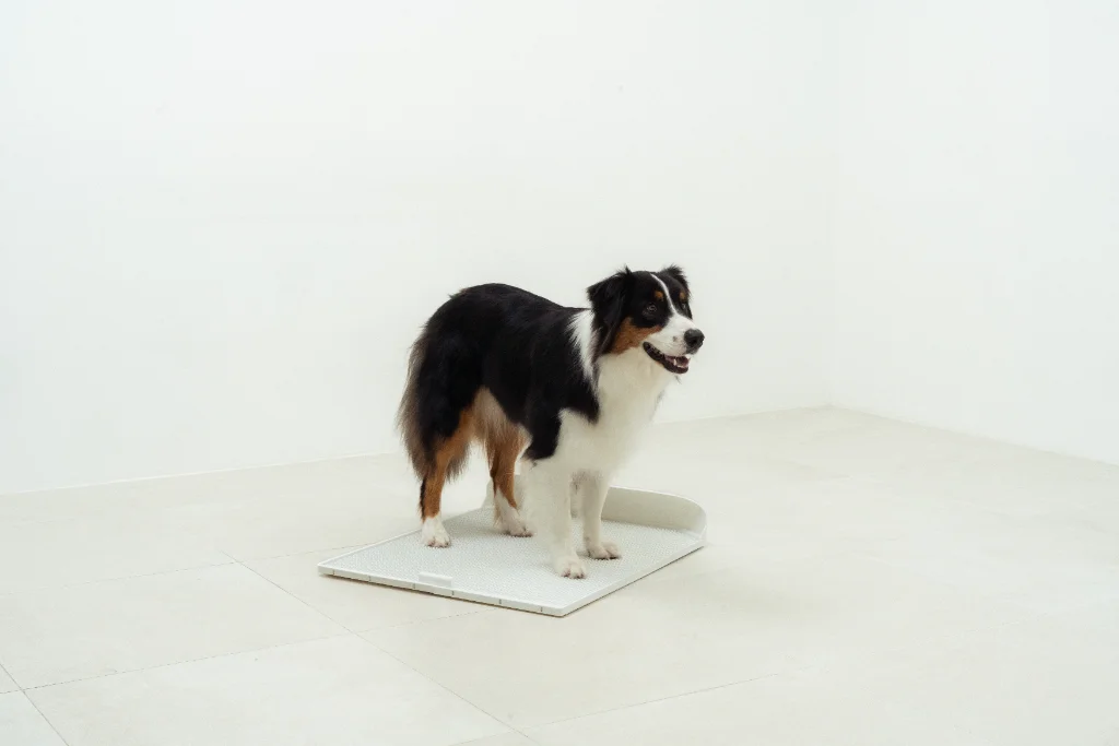 이미지 7