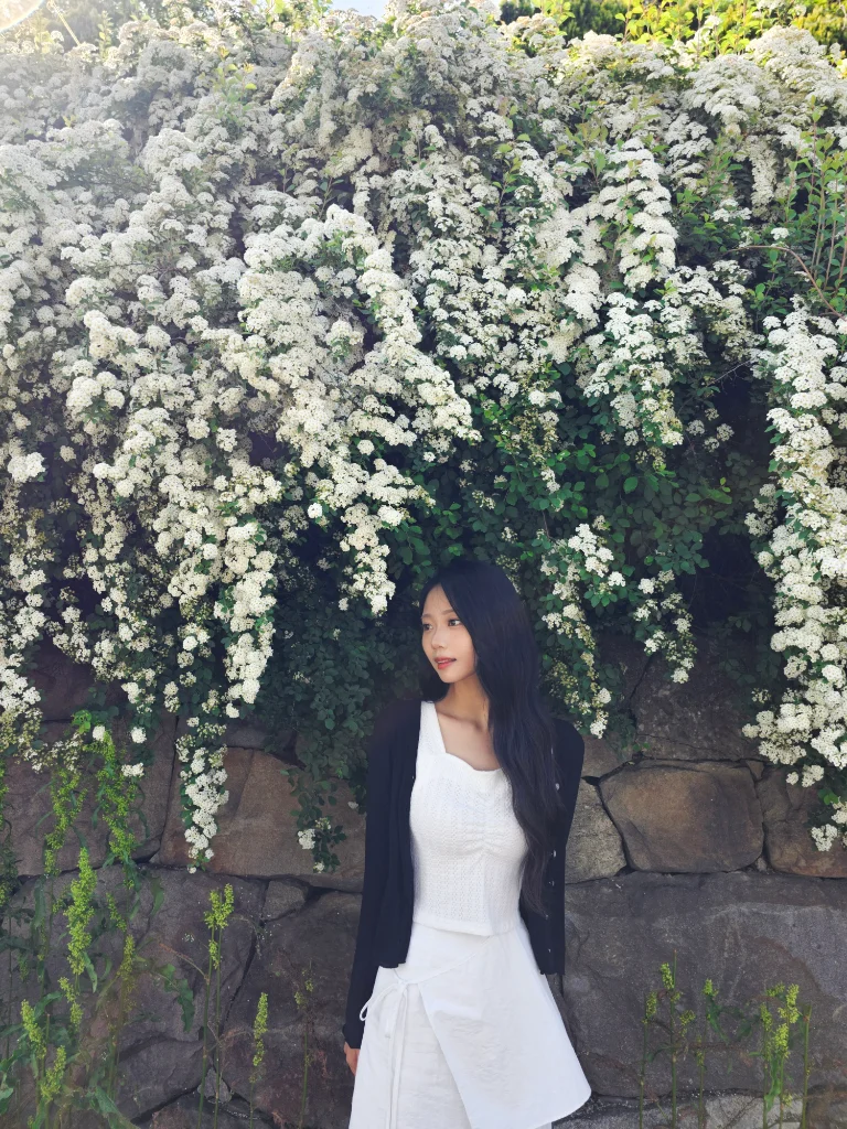 이미지 9