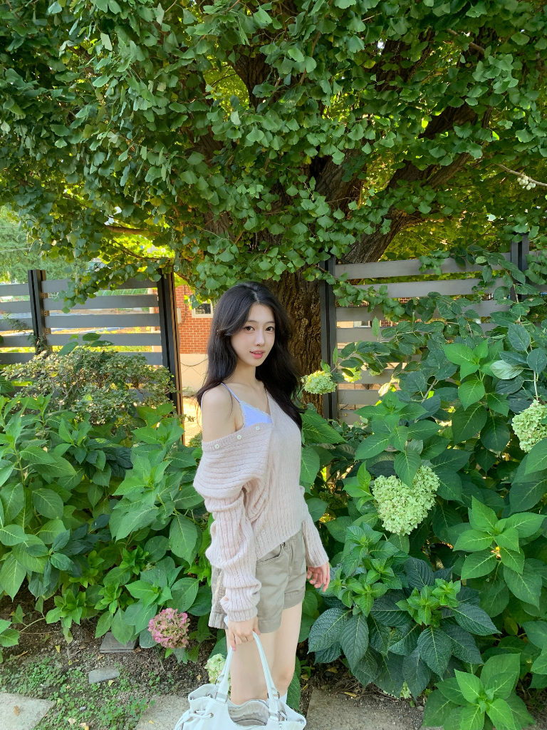이미지 7