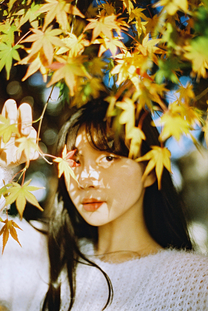이미지 13