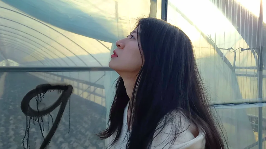 이미지 7