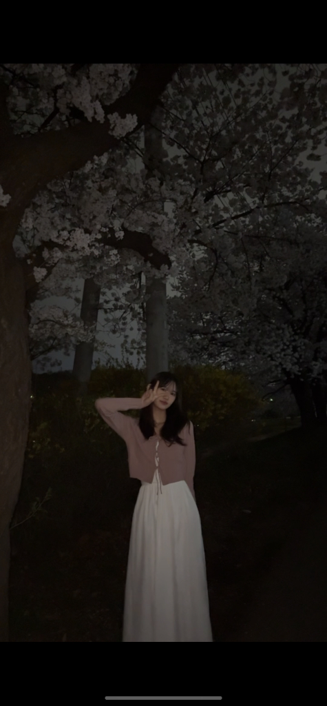 이미지 5
