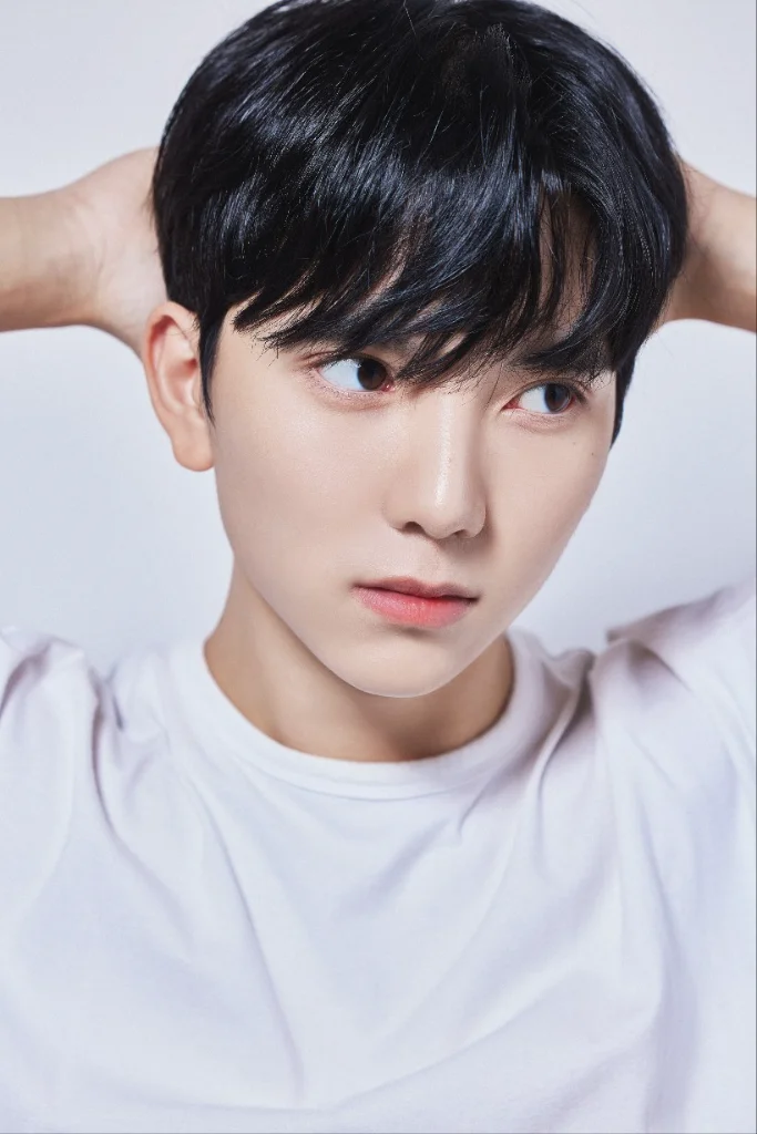 이미지 7