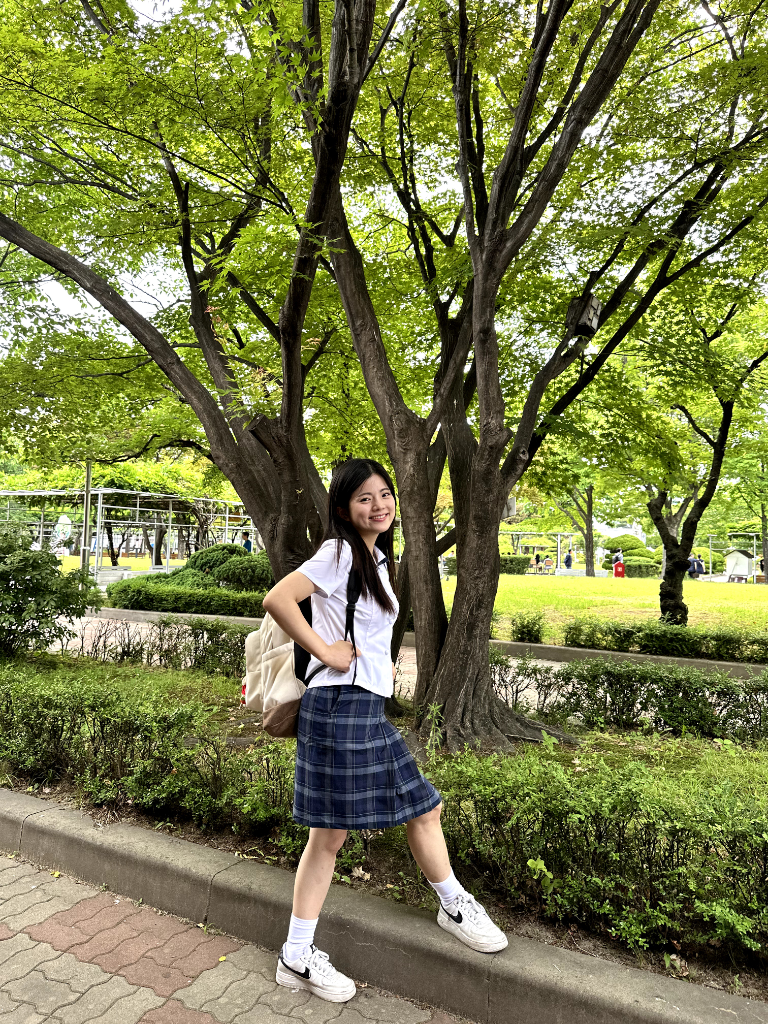 이미지 4