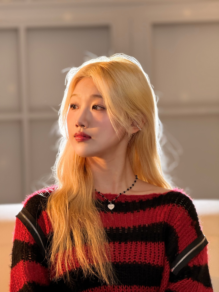 이미지 15