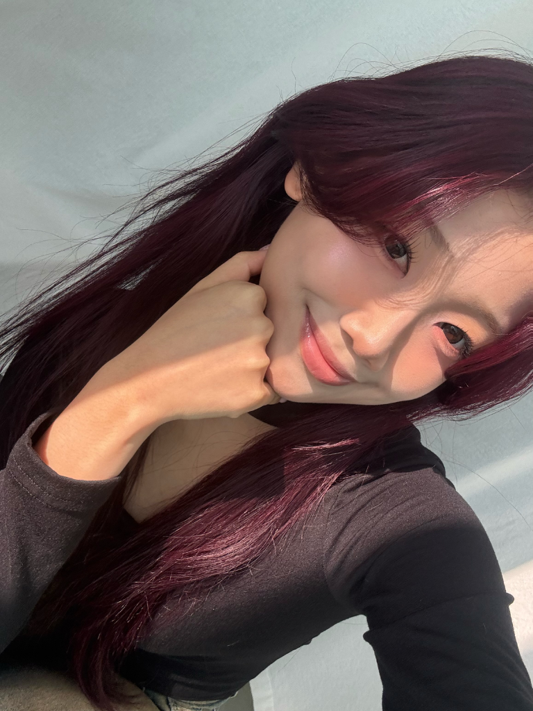 이미지 5