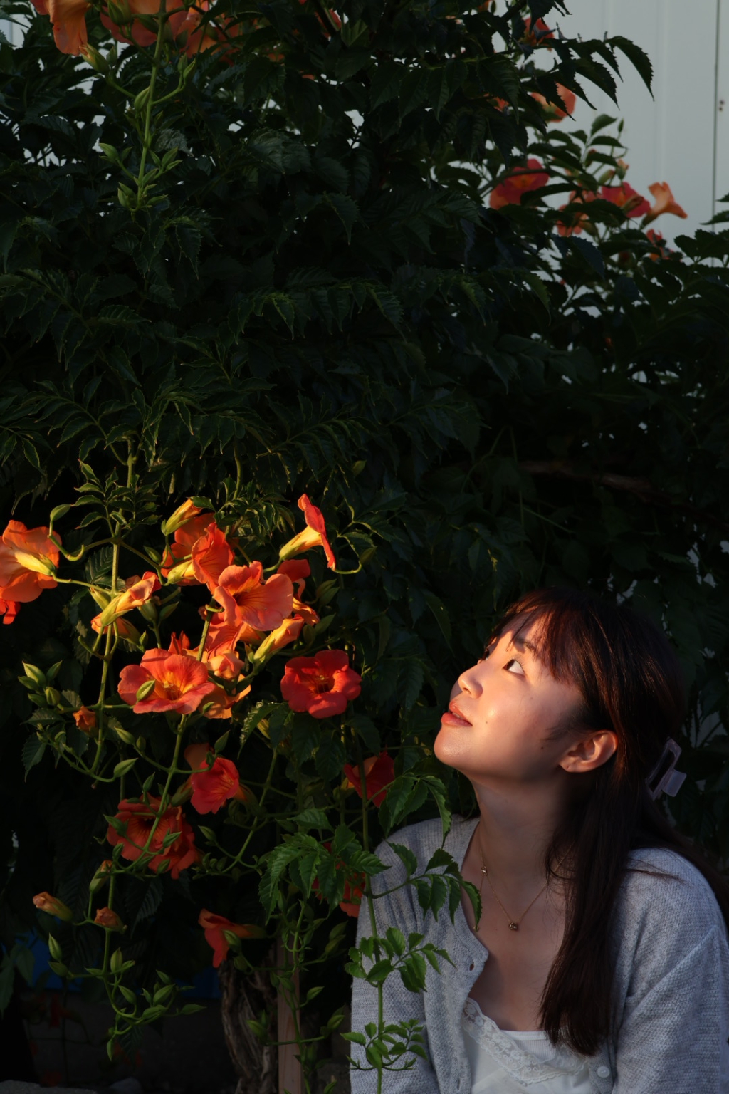 이미지 1