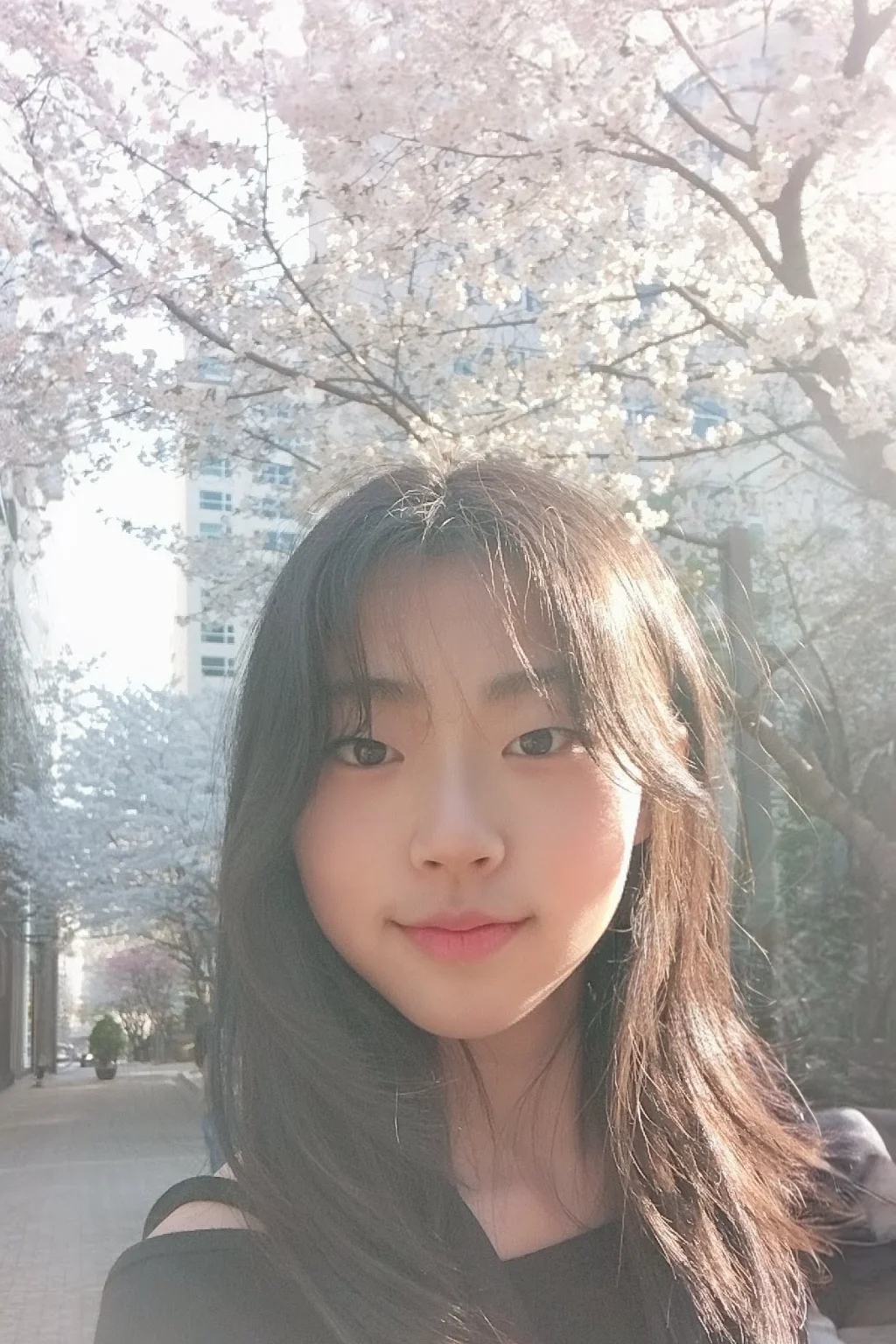 이미지 1