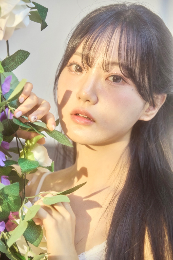 이미지 11
