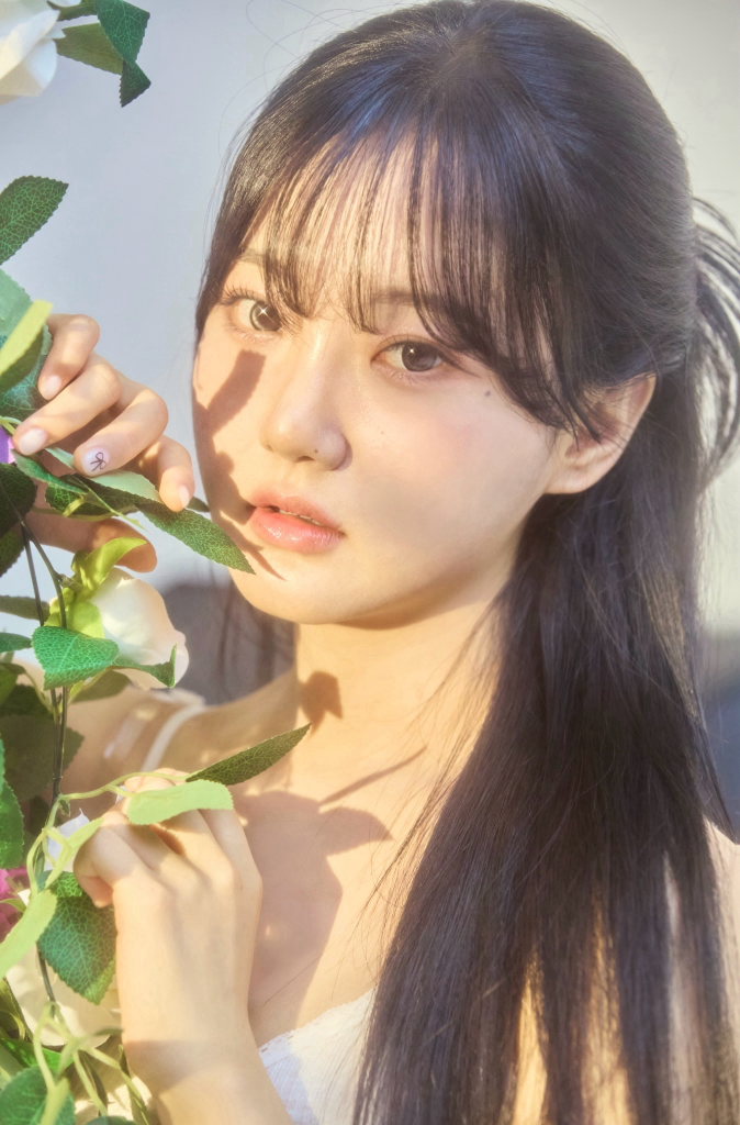 이미지 5
