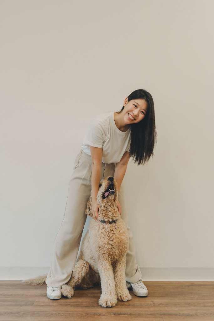 이미지 2