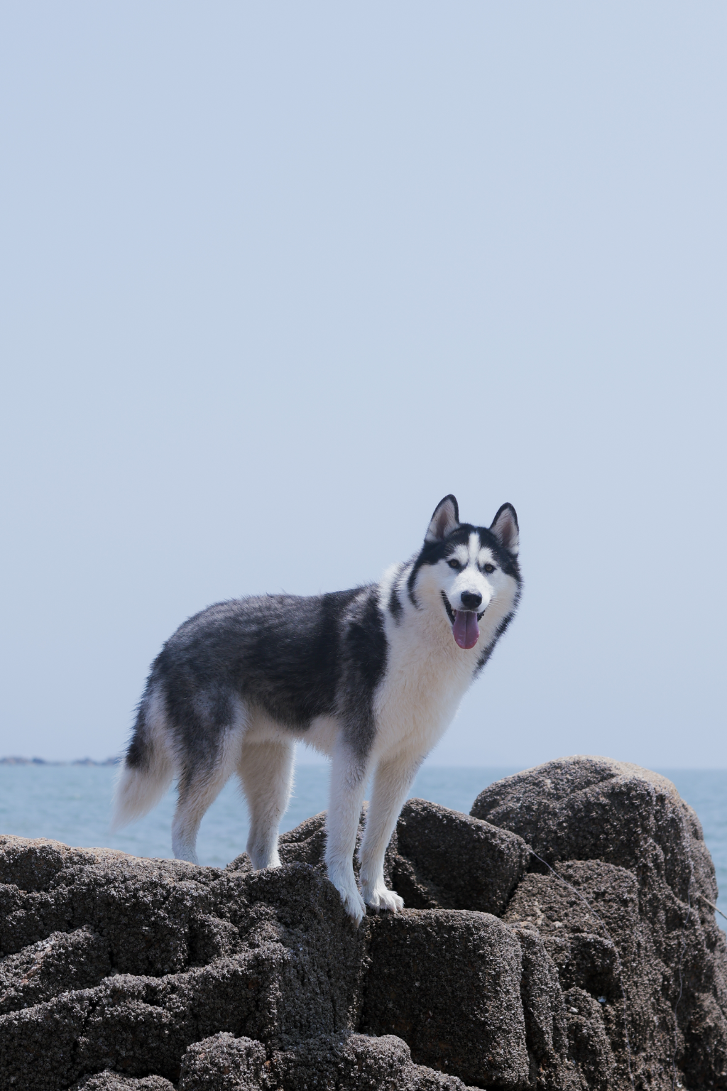 이미지 1
