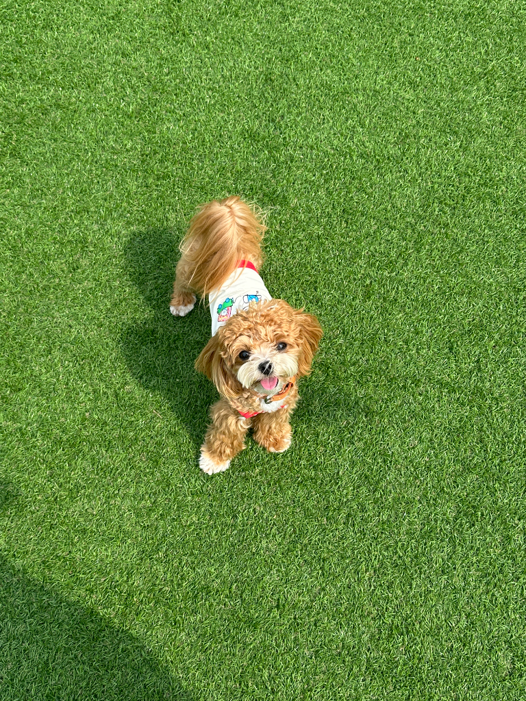 이미지 5
