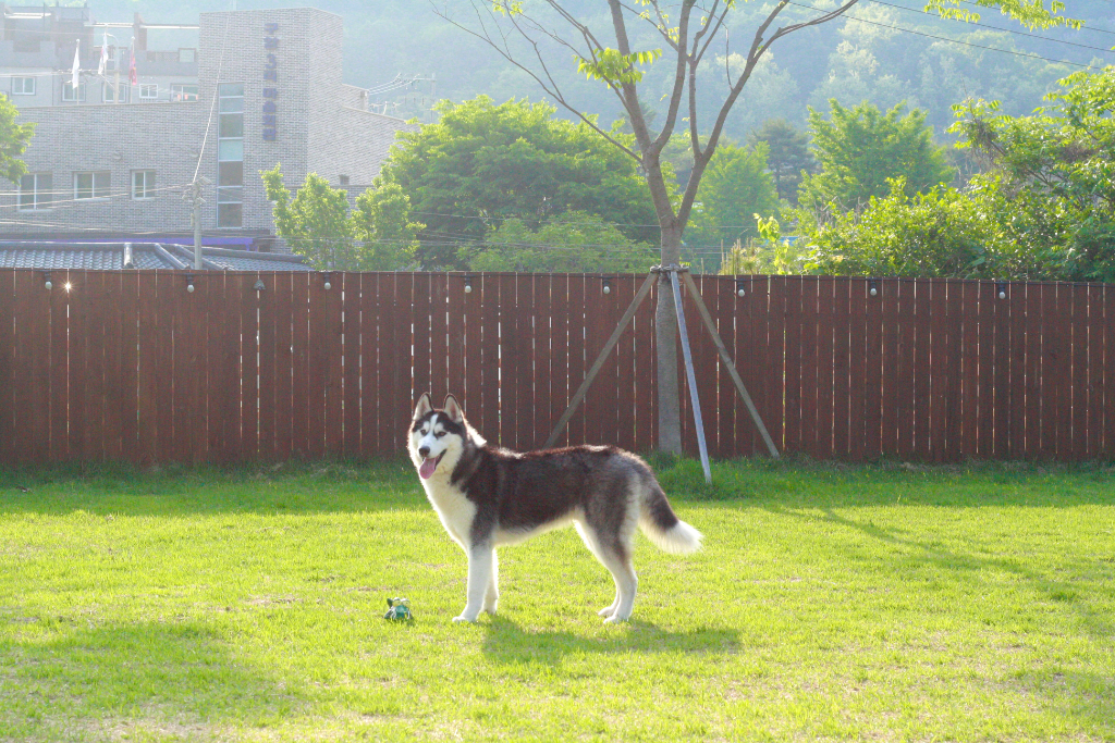 이미지 13