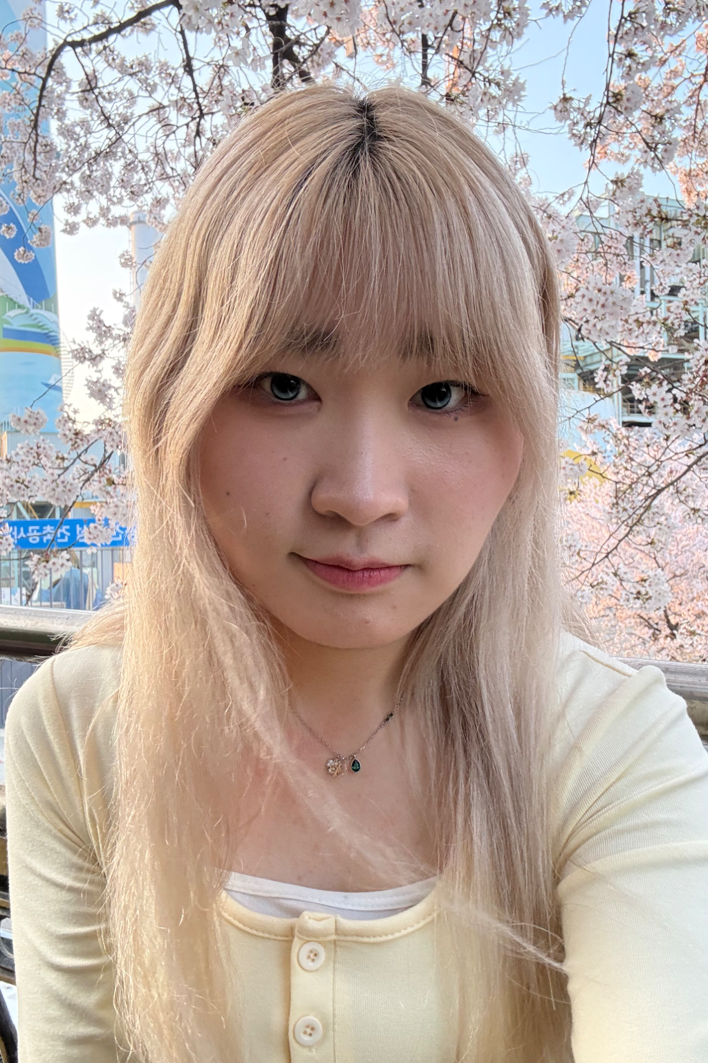 이미지 1