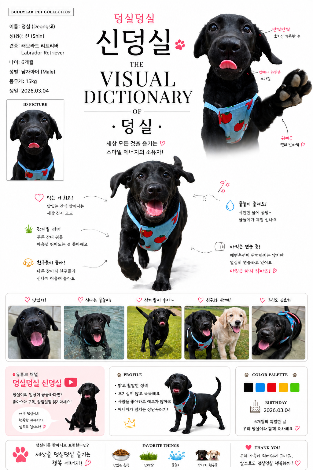 이미지 1