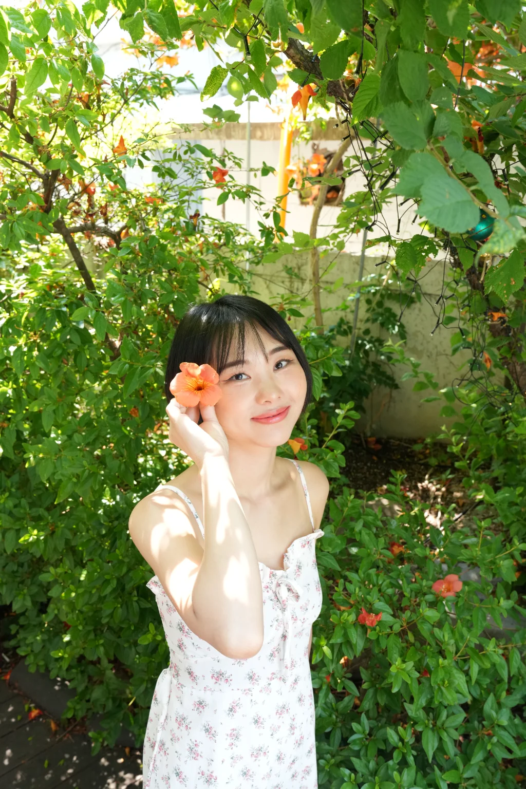 이미지 1