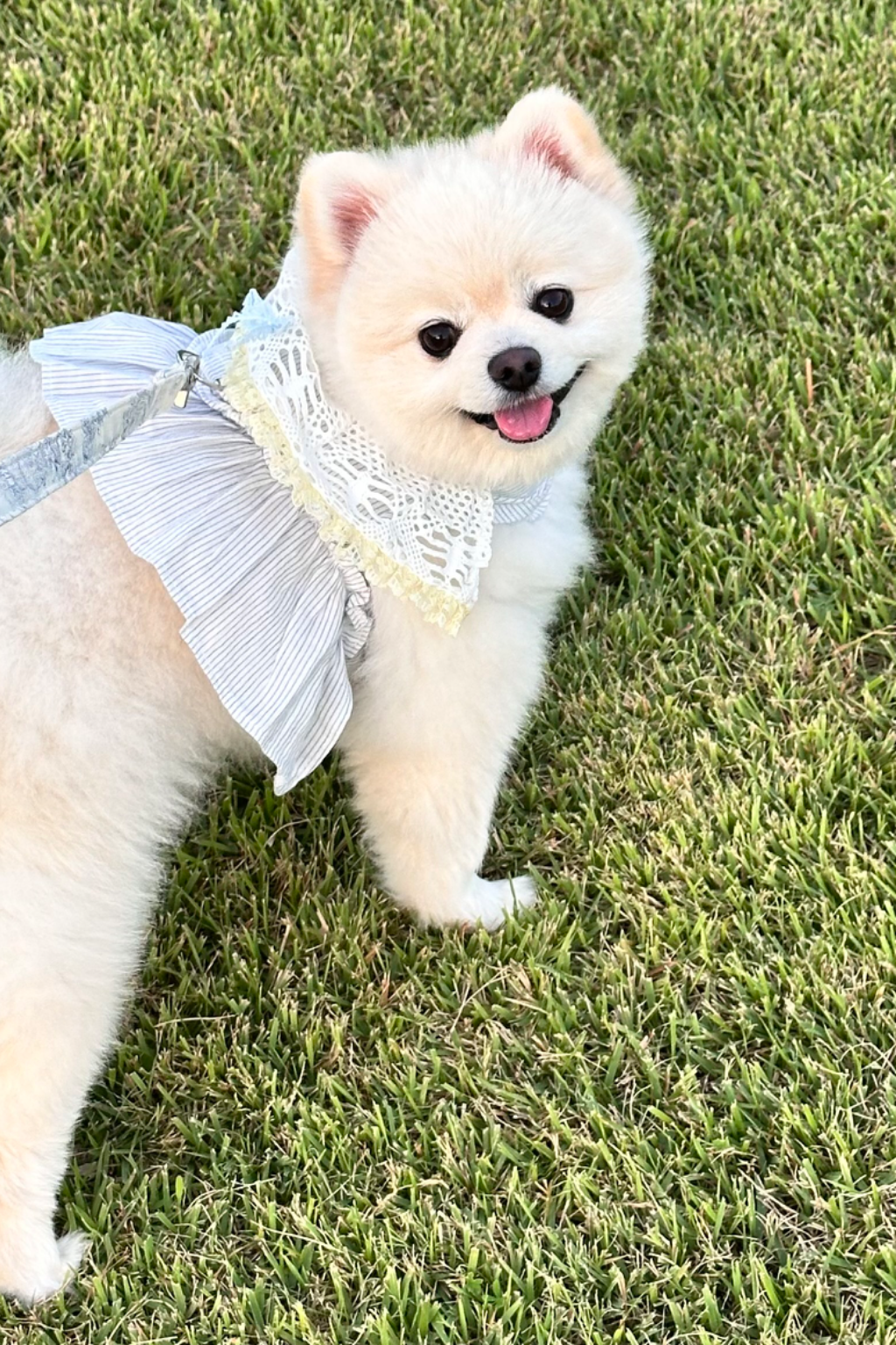 이미지 1