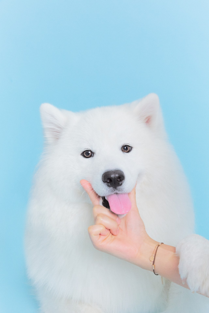 이미지 6